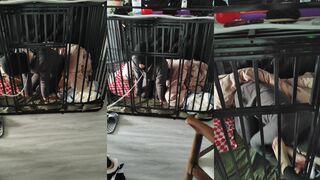 1743679369_39870.mp4