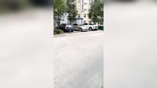 video_2025-03-28_13-58-42