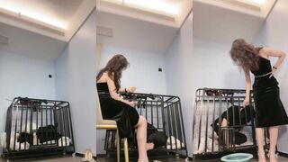 禾未 家奴圈养一周记录