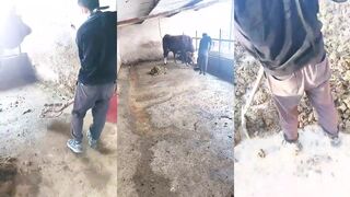 银南女帝 家奴家务活 真实的家畜人更多