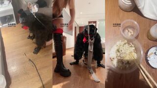 49553【蛇妈S】骑毛毛狗专场 彻底训化人形犬