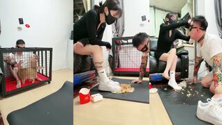 暴主 圈养 生活