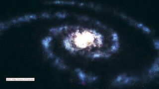 2021绝美冷王女王】五月最新调教小母狗口舌伺奉