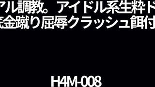 h4m008